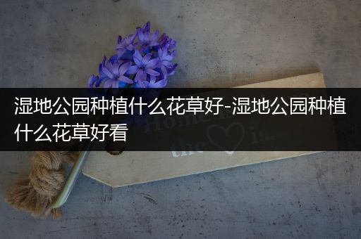 湿地公园种植什么花草好-湿地公园种植什么花草好看