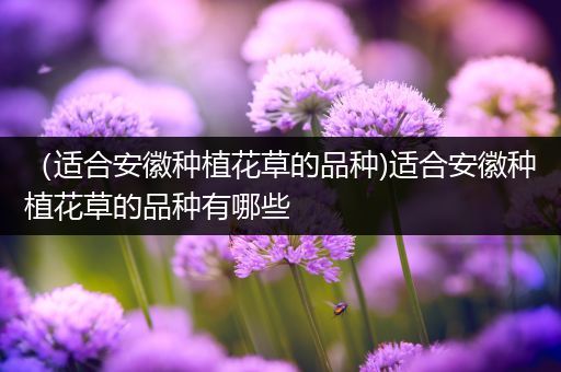 （适合安徽种植花草的品种)适合安徽种植花草的品种有哪些