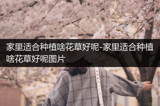 家里适合种植啥花草好呢-家里适合种植啥花草好呢图片