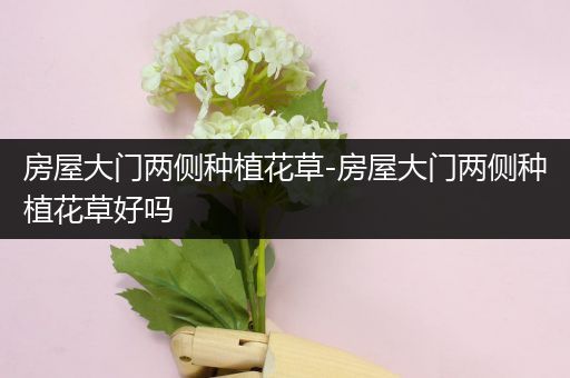 房屋大门两侧种植花草-房屋大门两侧种植花草好吗