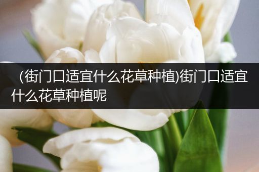 （街门口适宜什么花草种植)街门口适宜什么花草种植呢