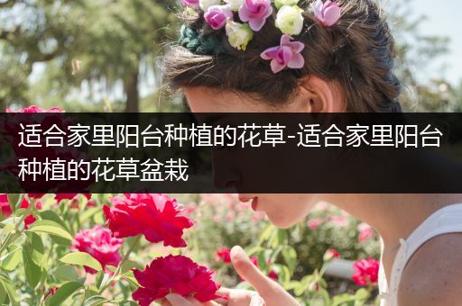 适合家里阳台种植的花草-适合家里阳台种植的花草盆栽