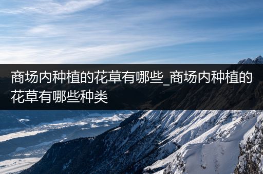 商场内种植的花草有哪些_商场内种植的花草有哪些种类