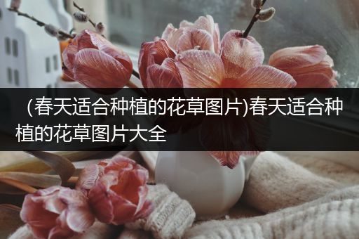 （春天适合种植的花草图片)春天适合种植的花草图片大全