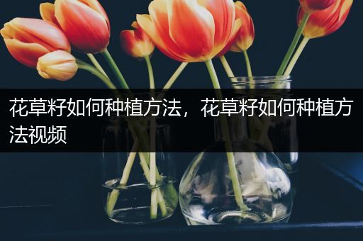 花草籽如何种植方法，花草籽如何种植方法视频