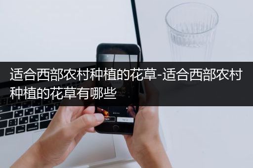 适合西部农村种植的花草-适合西部农村种植的花草有哪些
