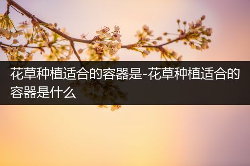 花草种植适合的容器是-花草种植适合的容器是什么