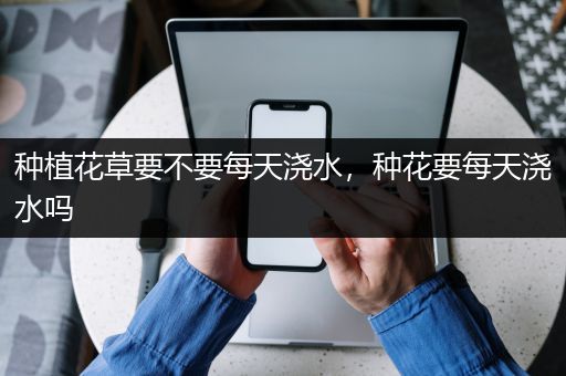 种植花草要不要每天浇水，种花要每天浇水吗