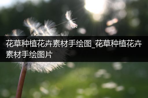花草种植花卉素材手绘图_花草种植花卉素材手绘图片