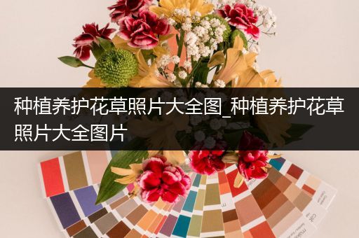 种植养护花草照片大全图_种植养护花草照片大全图片