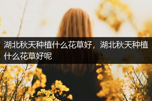 湖北秋天种植什么花草好，湖北秋天种植什么花草好呢