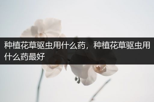种植花草驱虫用什么药，种植花草驱虫用什么药最好