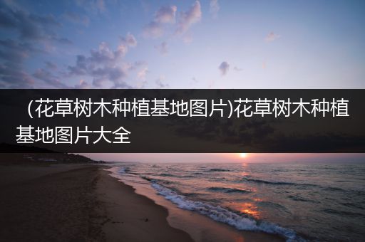 （花草树木种植基地图片)花草树木种植基地图片大全