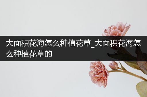 大面积花海怎么种植花草_大面积花海怎么种植花草的