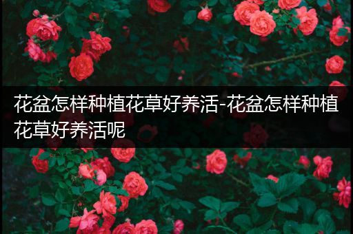 花盆怎样种植花草好养活-花盆怎样种植花草好养活呢