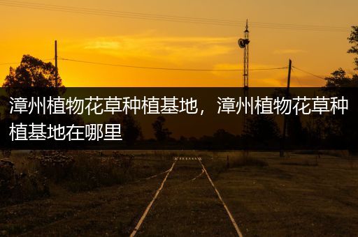 漳州植物花草种植基地，漳州植物花草种植基地在哪里