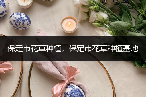 保定市花草种植，保定市花草种植基地