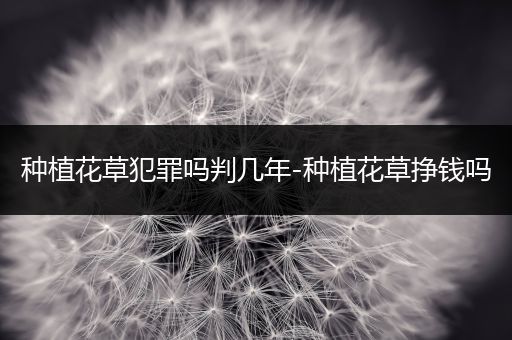 种植花草犯罪吗判几年-种植花草挣钱吗