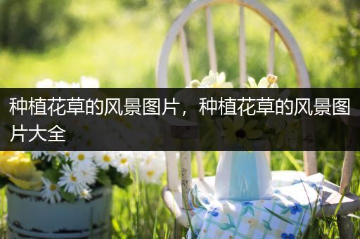 种植花草的风景图片，种植花草的风景图片大全