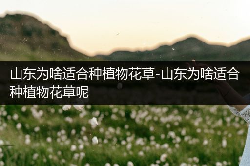 山东为啥适合种植物花草-山东为啥适合种植物花草呢