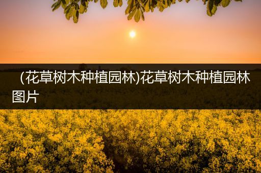 （花草树木种植园林)花草树木种植园林图片