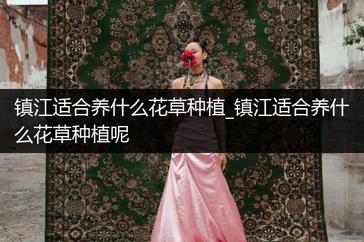 镇江适合养什么花草种植_镇江适合养什么花草种植呢