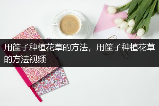 用筐子种植花草的方法，用筐子种植花草的方法视频