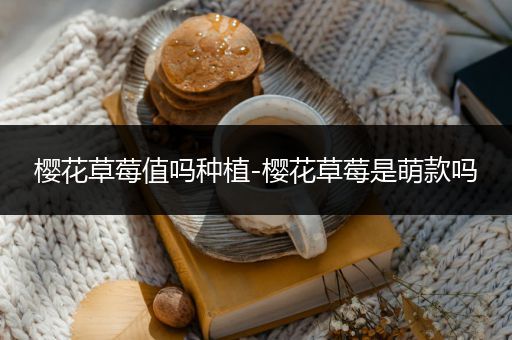 樱花草莓值吗种植-樱花草莓是萌款吗