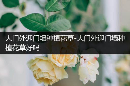 大门外迎门墙种植花草-大门外迎门墙种植花草好吗