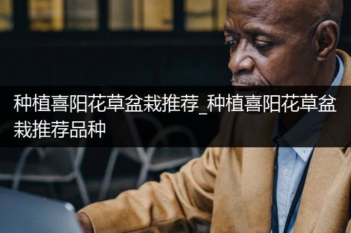 种植喜阳花草盆栽推荐_种植喜阳花草盆栽推荐品种
