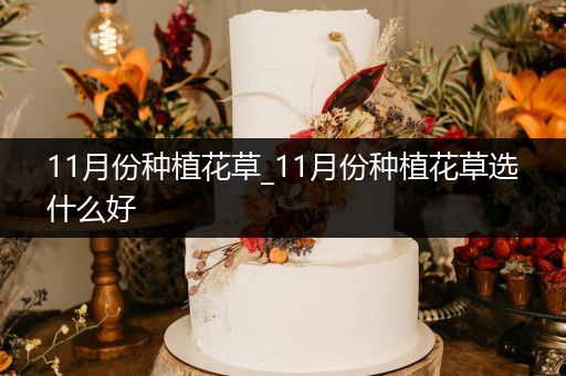 11月份种植花草_11月份种植花草选什么好