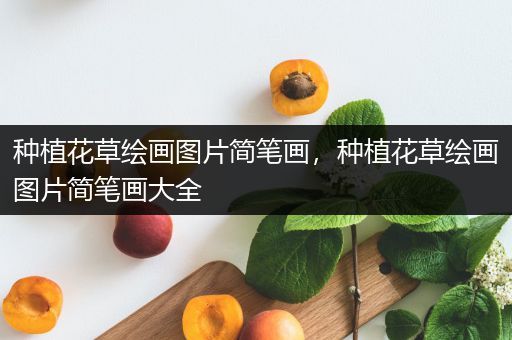 种植花草绘画图片简笔画，种植花草绘画图片简笔画大全