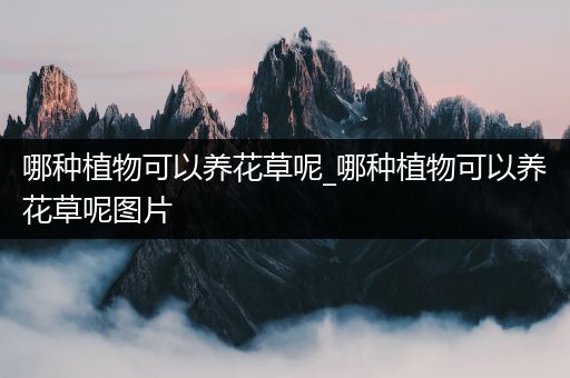 哪种植物可以养花草呢_哪种植物可以养花草呢图片
