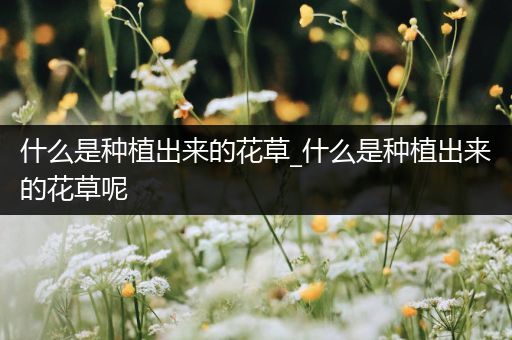 什么是种植出来的花草_什么是种植出来的花草呢