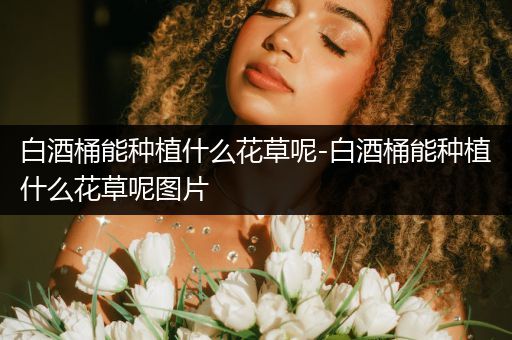 白酒桶能种植什么花草呢-白酒桶能种植什么花草呢图片