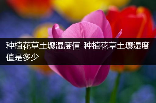 种植花草土壤湿度值-种植花草土壤湿度值是多少