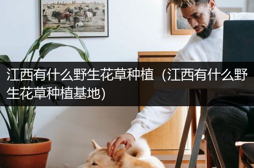 江西有什么野生花草种植（江西有什么野生花草种植基地）