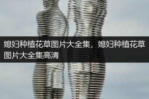 媳妇种植花草图片大全集，媳妇种植花草图片大全集高清