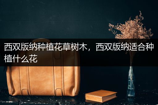 西双版纳种植花草树木，西双版纳适合种植什么花
