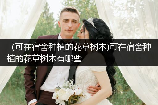 （可在宿舍种植的花草树木)可在宿舍种植的花草树木有哪些