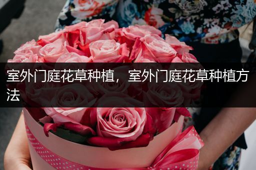 室外门庭花草种植，室外门庭花草种植方法