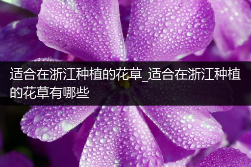 适合在浙江种植的花草_适合在浙江种植的花草有哪些