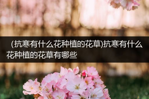 （抗寒有什么花种植的花草)抗寒有什么花种植的花草有哪些