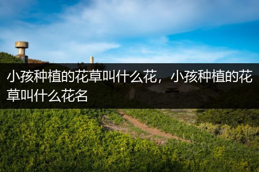 小孩种植的花草叫什么花，小孩种植的花草叫什么花名