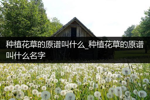种植花草的原谱叫什么_种植花草的原谱叫什么名字