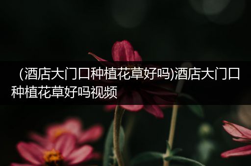 （酒店大门口种植花草好吗)酒店大门口种植花草好吗视频