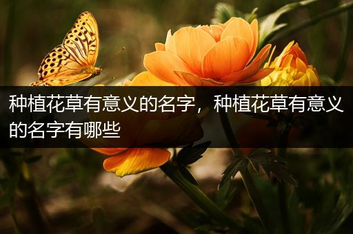 种植花草有意义的名字，种植花草有意义的名字有哪些
