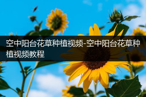 空中阳台花草种植视频-空中阳台花草种植视频教程