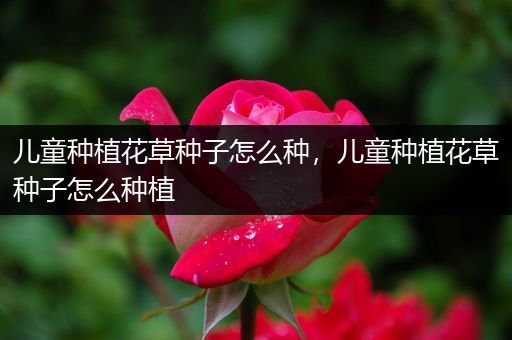 儿童种植花草种子怎么种，儿童种植花草种子怎么种植