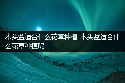 木头盆适合什么花草种植-木头盆适合什么花草种植呢